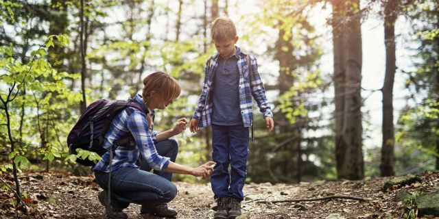 fox news tick_repellant_istock