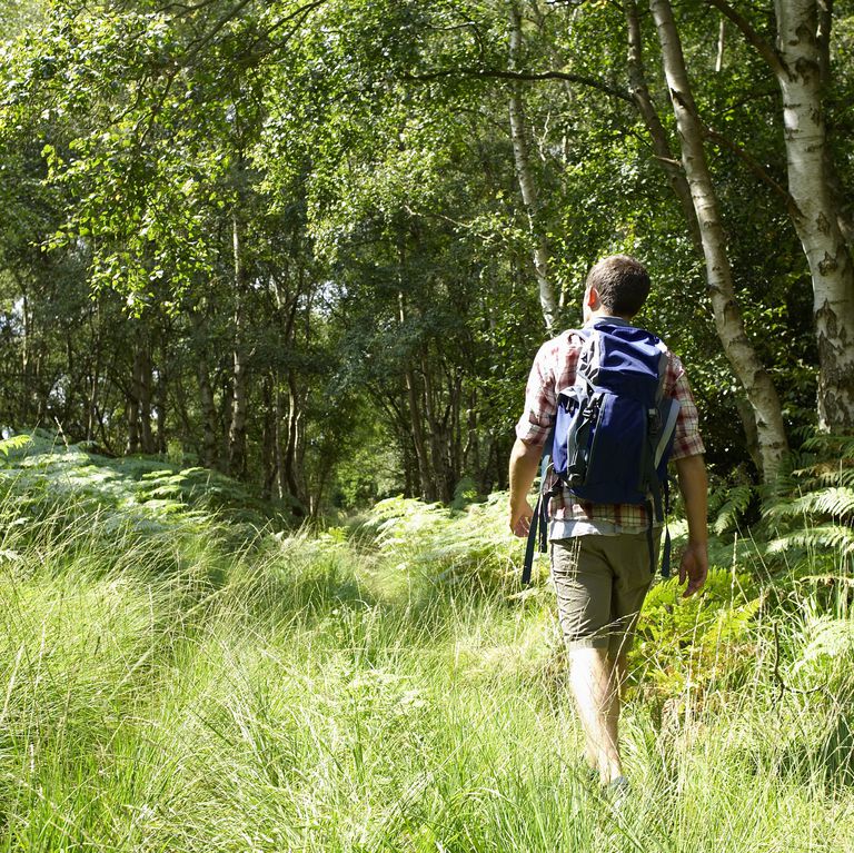 Mens Health young-hiker-walking-through-woodland-royalty-free-image-90421933-1558131152