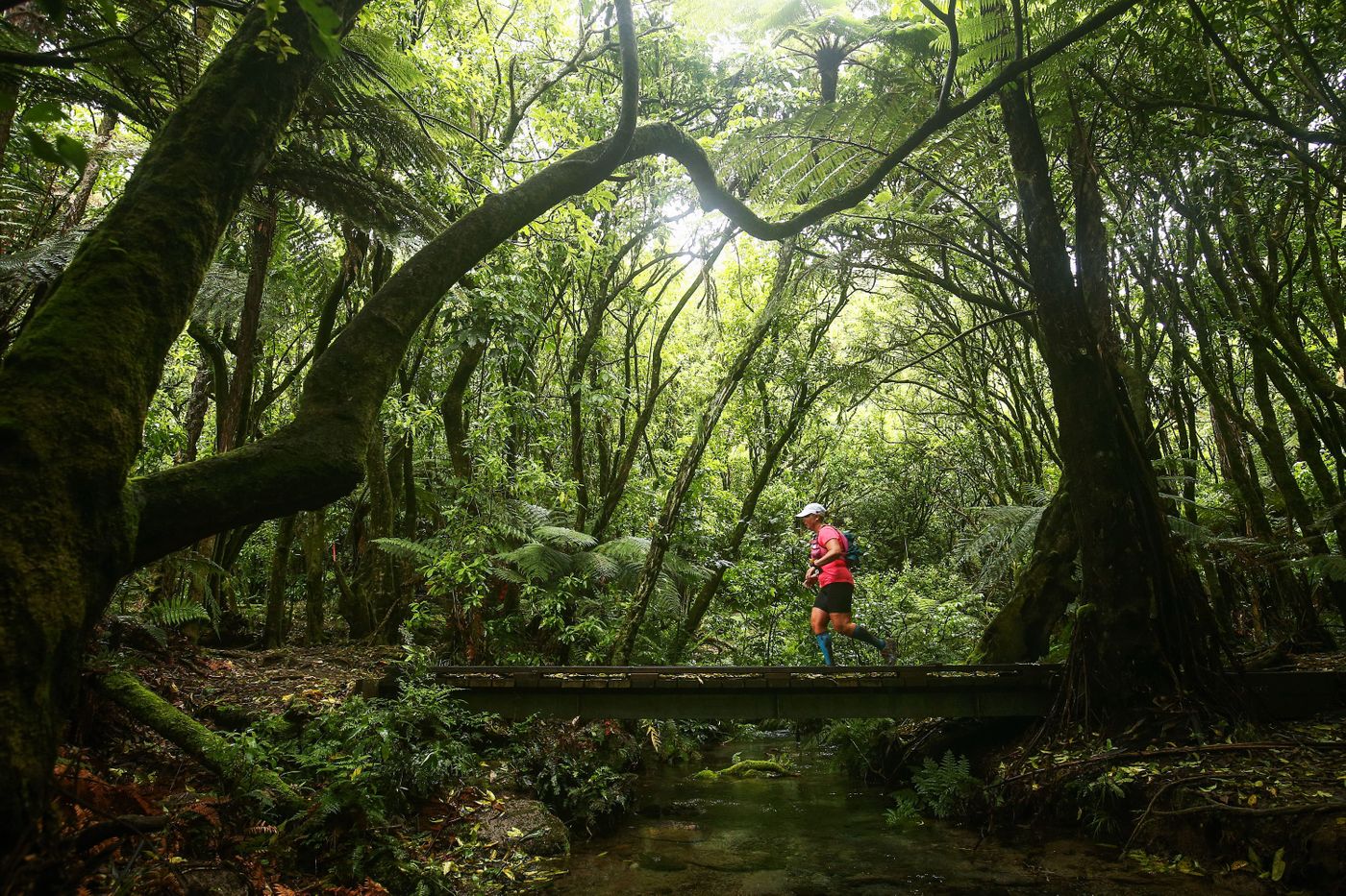 NY Mag Everything You Need to Go Trail Running