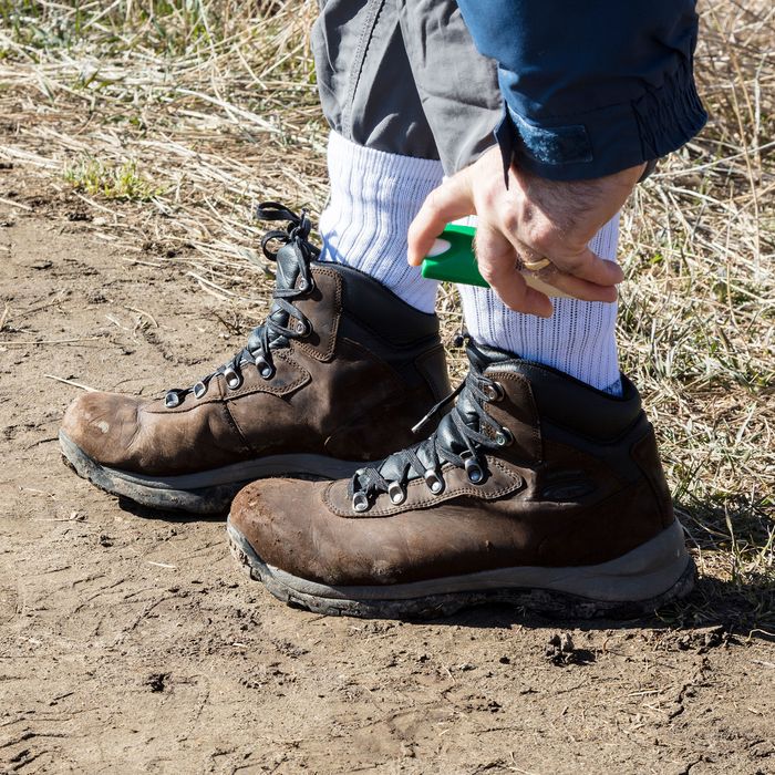 f3645dbaa6618e0eda045bcd2c0c939d0c-08-tick-repellent.rsquare.w700