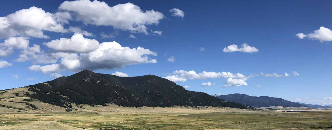 The Trek what we are spending our REI dividend on this year IMG_2521