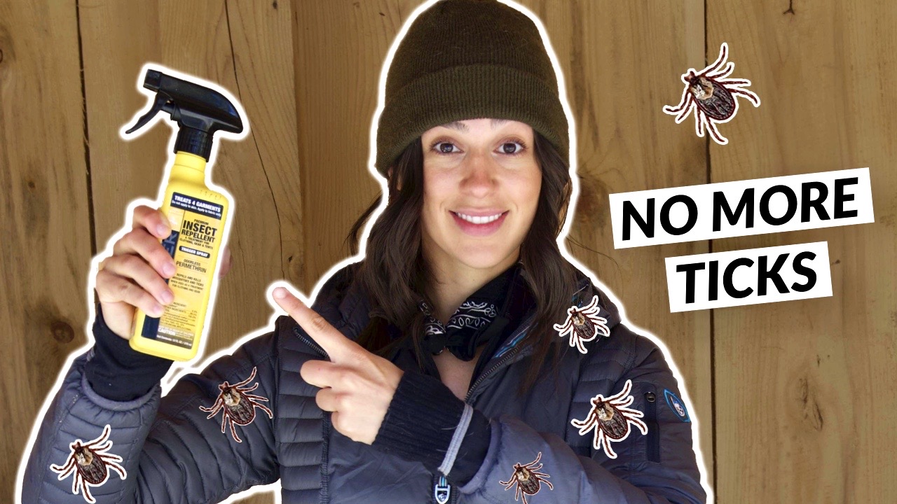 5556CE7D-F47D-4C6C-B332-A2E3427004EB 2