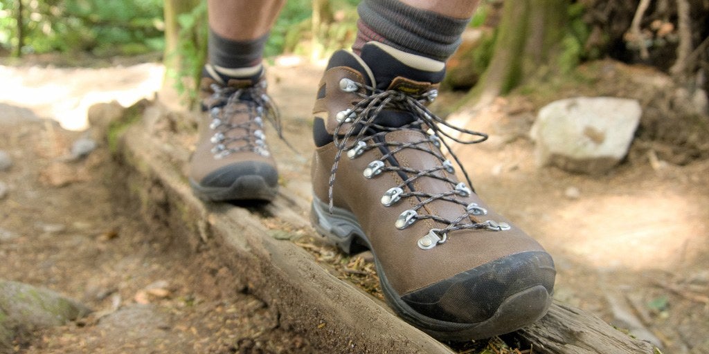 ticks-top-2x1-lowres1024-35