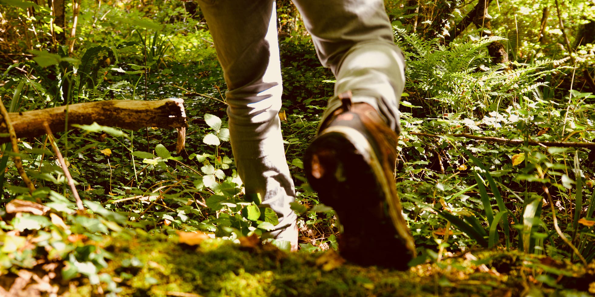 tick-prevention-2048px-1279186036-2x1-1