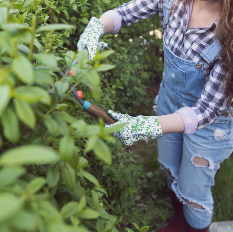 by-arranging-the-yard-i-make-my-soul-happy-royalty-free-image-1590001354