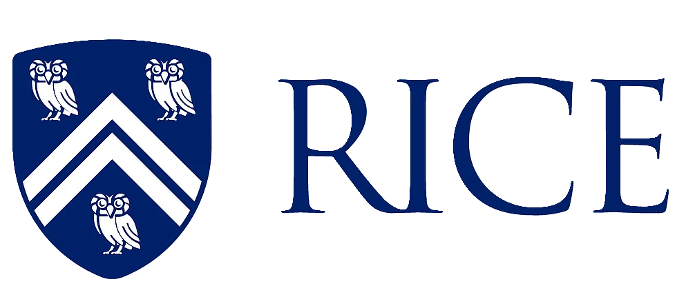 Ion (Rice University)