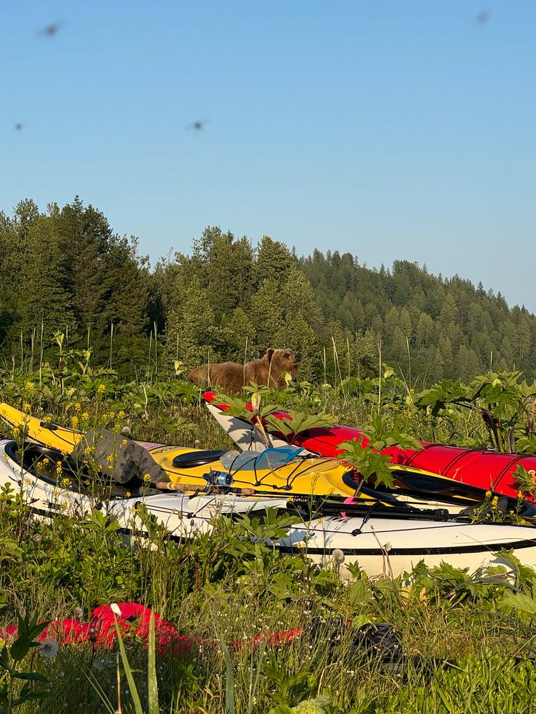 Sitka Wild Coast Kayaking 
