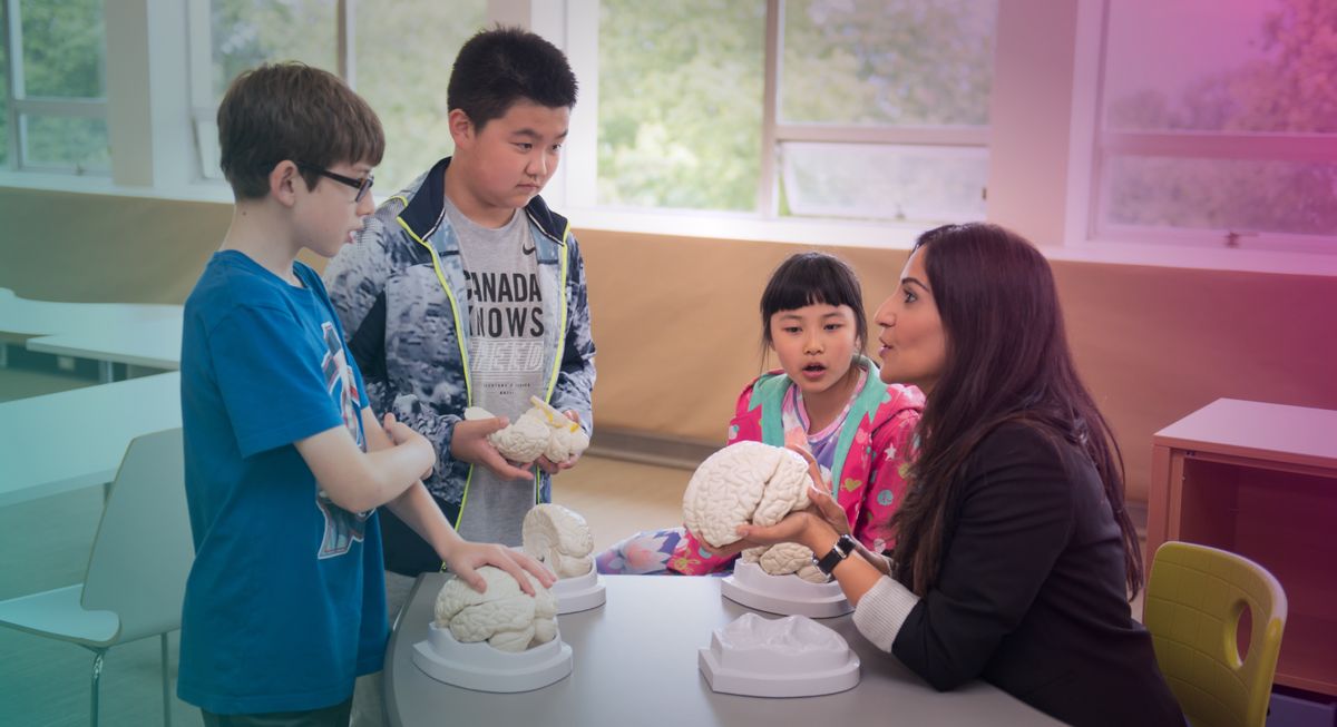 Dr. Shimi Kang teaching students with brain models