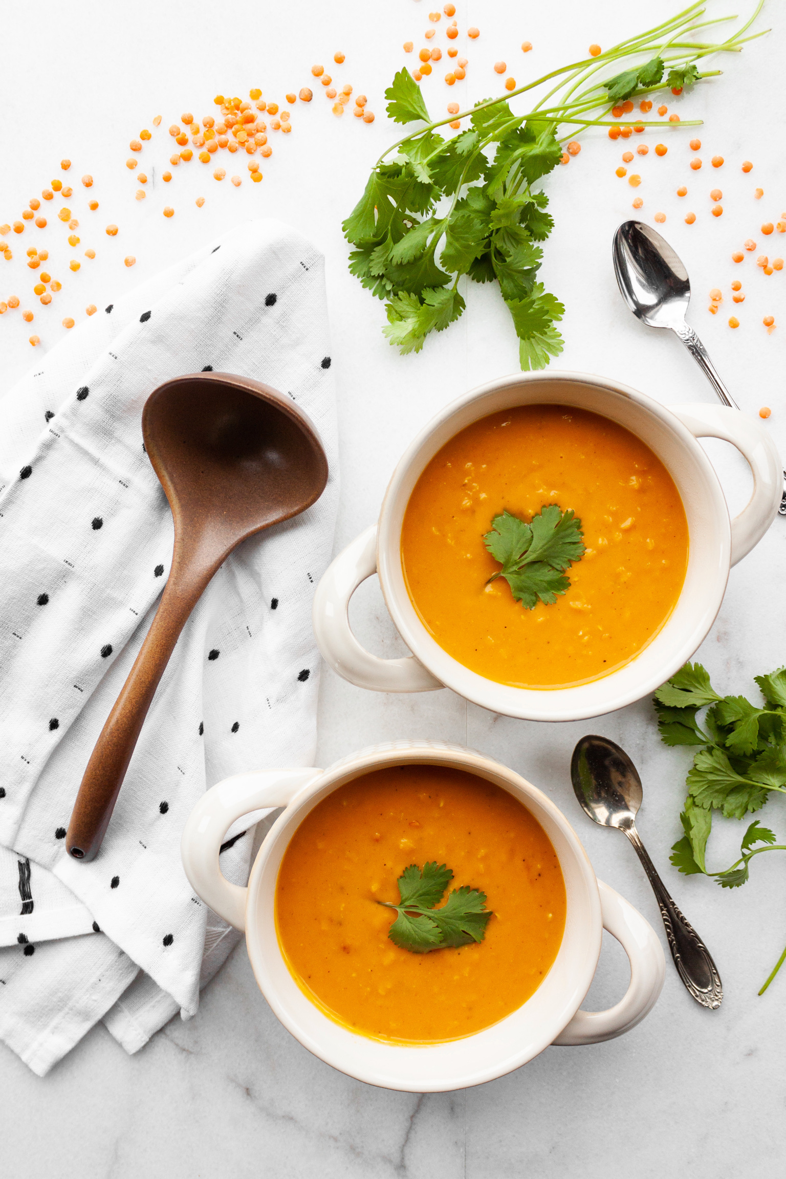 Red Curry Red Lentil Butternut Soup