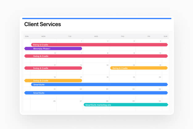 SmartSuite makes delivering your professional services a snap