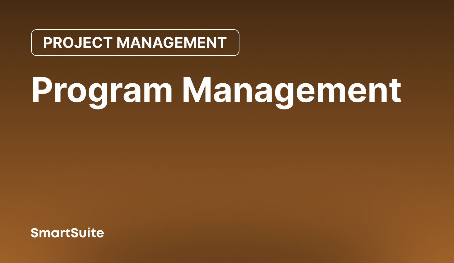 Program Management