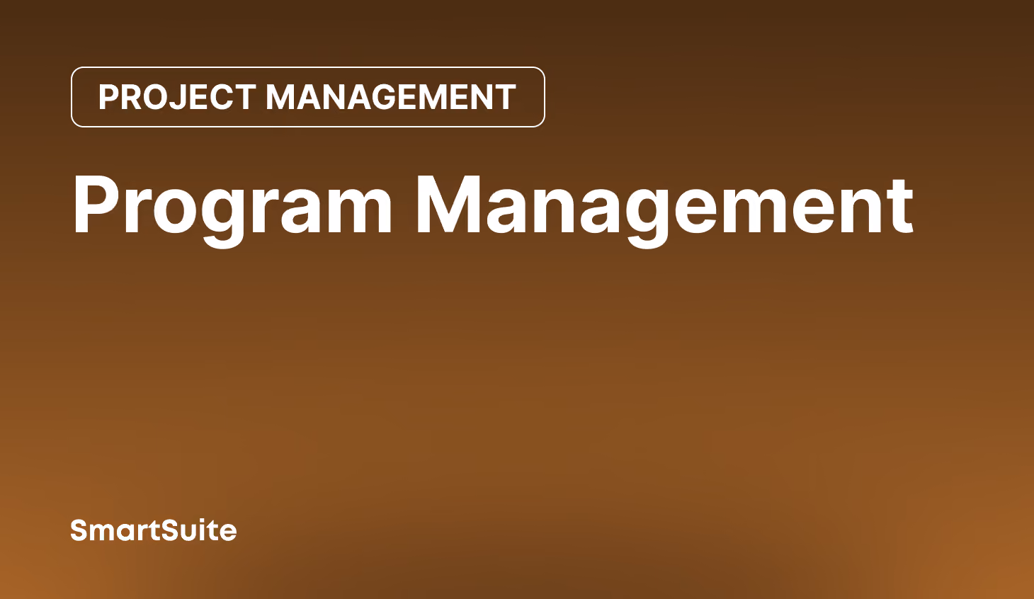 Program Management