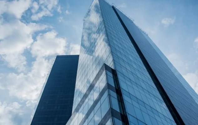 Financial Consulting Firm – North America