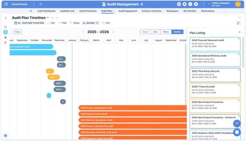 Audit Plan Timelines view with a months calendar of colored audit bars and a plan listing panel