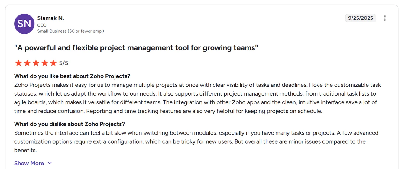 Zoho Projects reviews