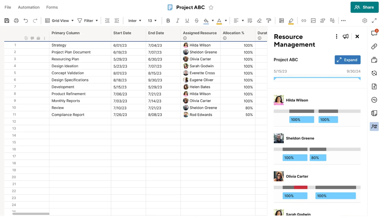 Project grid with assigned resources and allocation percentages beside a Resource Management panel showing workload bars
