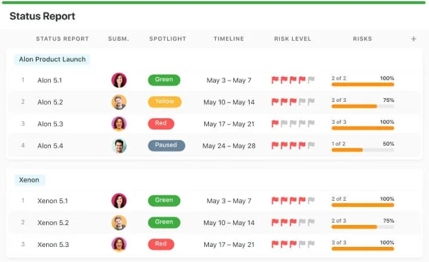 Report showing list of tasks with risk level denoted as red flags