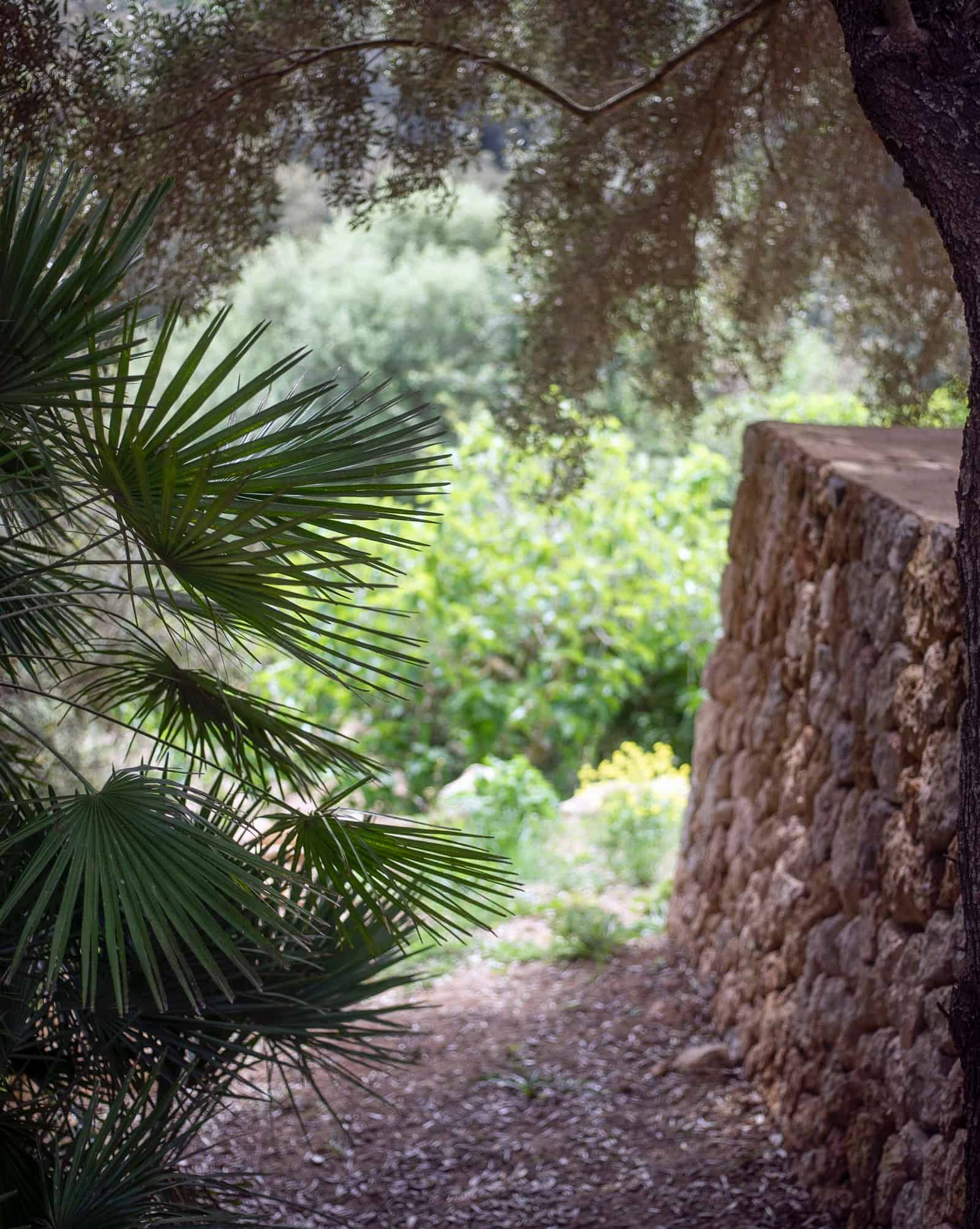 Es Racó d'Artà — photo 3