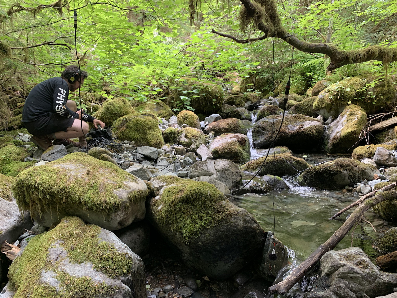 Microphone array capturing nature sounds for Habitat Sounds
