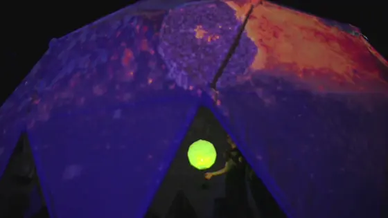 Project Ø