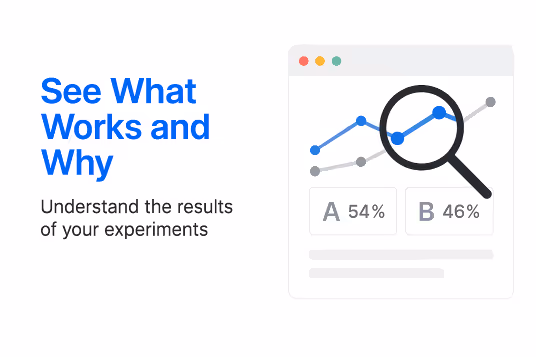 See What Works and Why