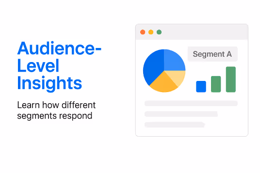 Audience-Level Insights