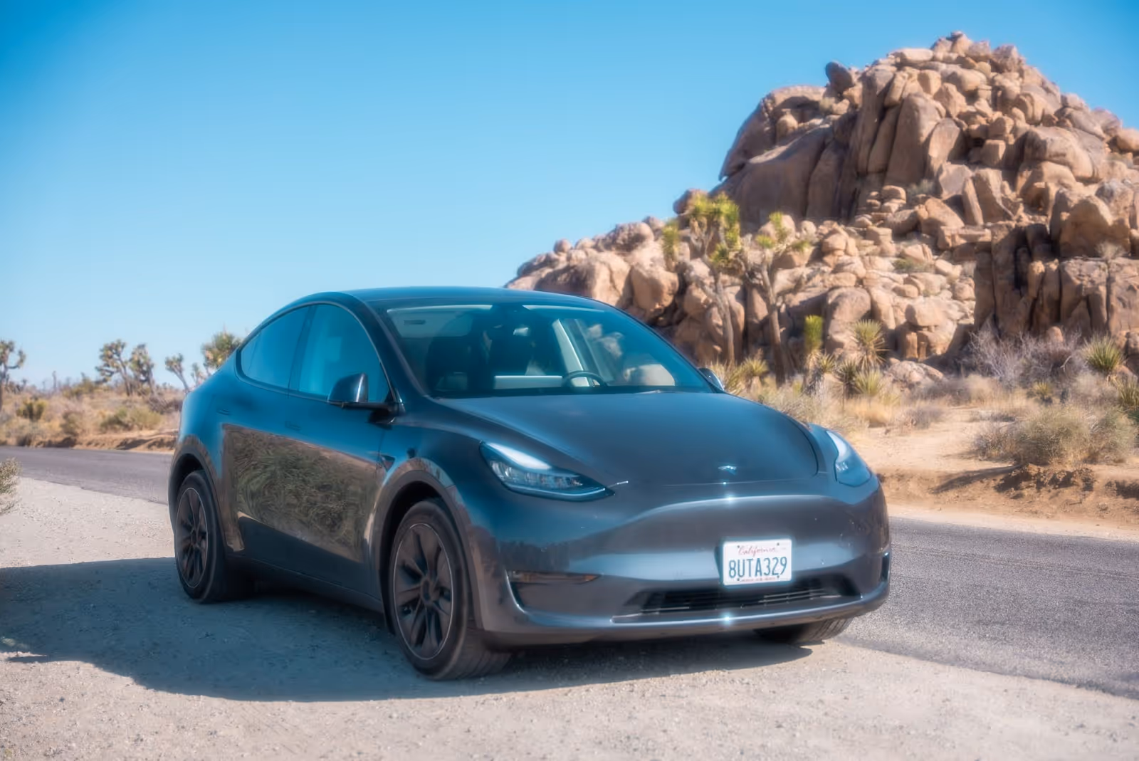 Tesla model y leasing