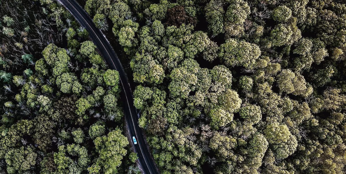 Aerial view of a car driving along a winding road through dense green forest.