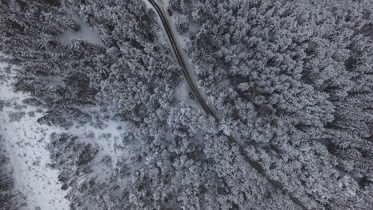 Aerial view of a winding road cutting through a snow-covered forest.