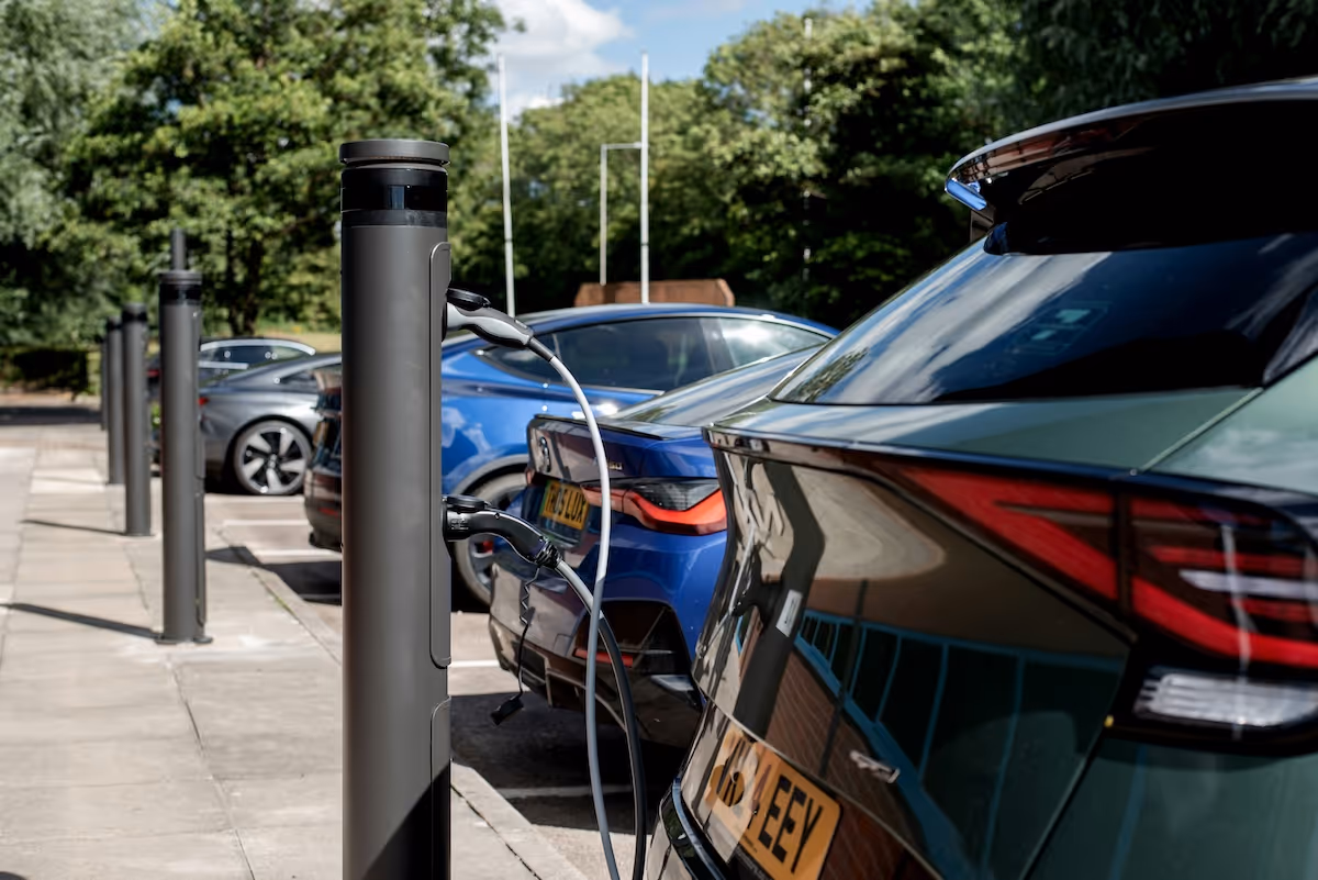 A row of electric vehicles charging next to a pavement. You can only see the rear of the vehicles.