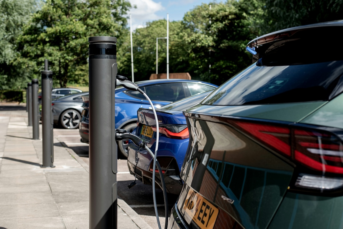 A row of electric vehicles charging next to a pavement. You can only see the rear of the vehicles.