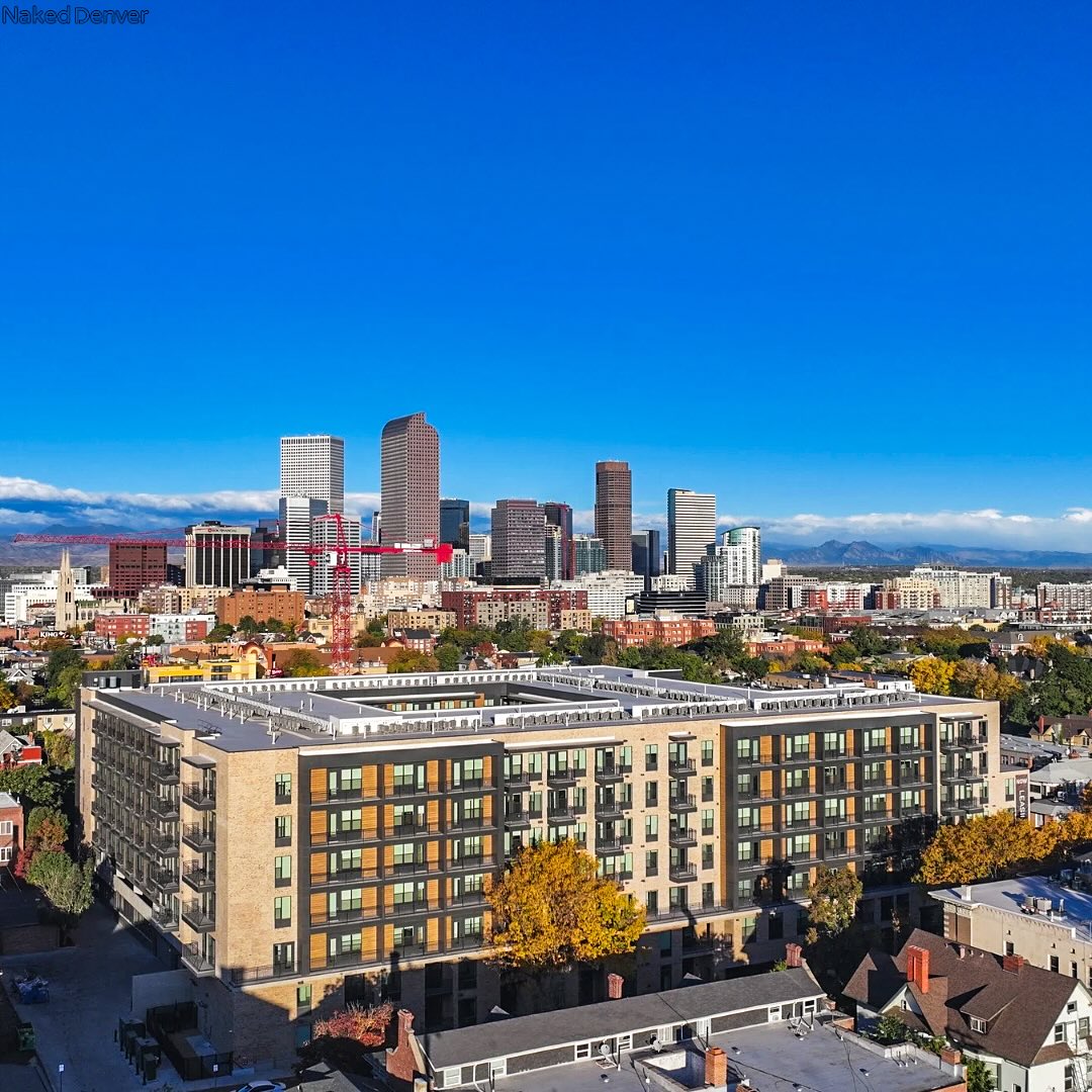 Instagram image for The Vixen: A Modern Oasis on E Colfax Avenue