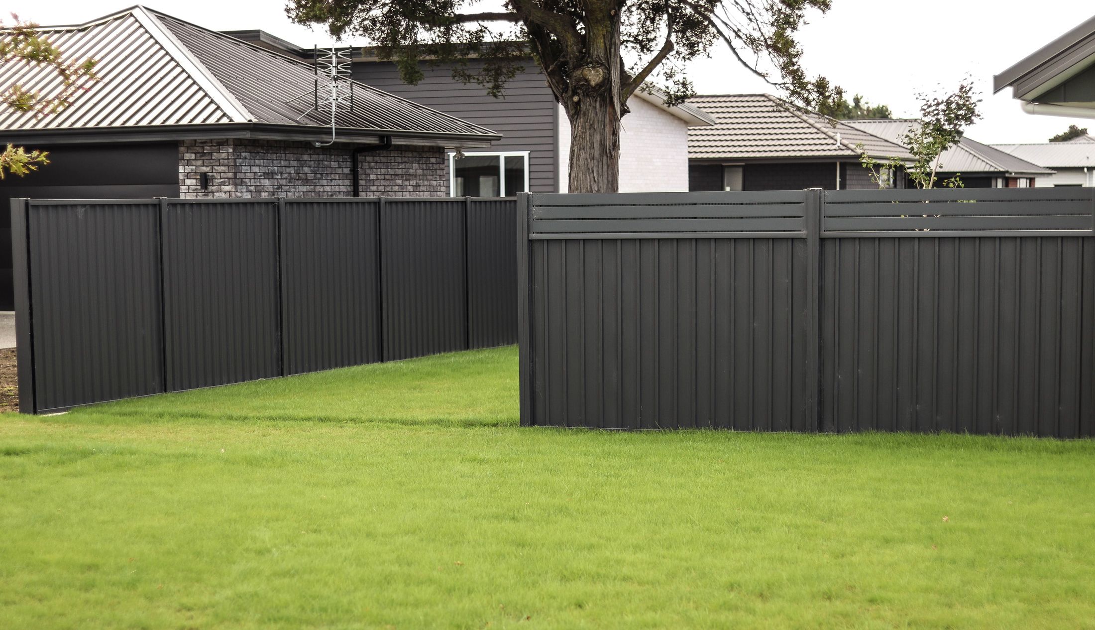 Borderline Fencing