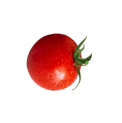 tomato
