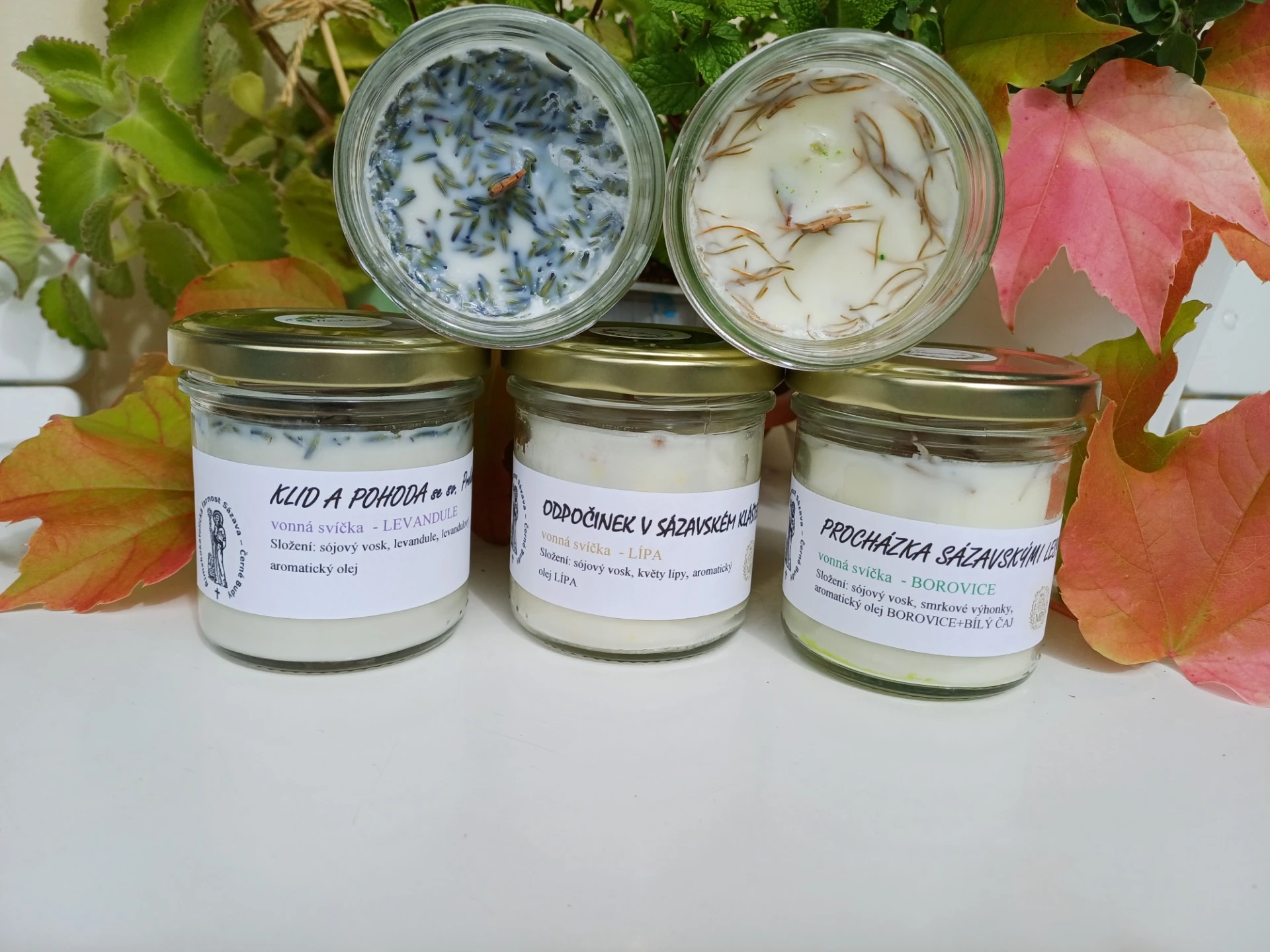 Přijďte a naučte se poznávat základní druhy bylin a jejich využití. Od 17:30 do 19:00.