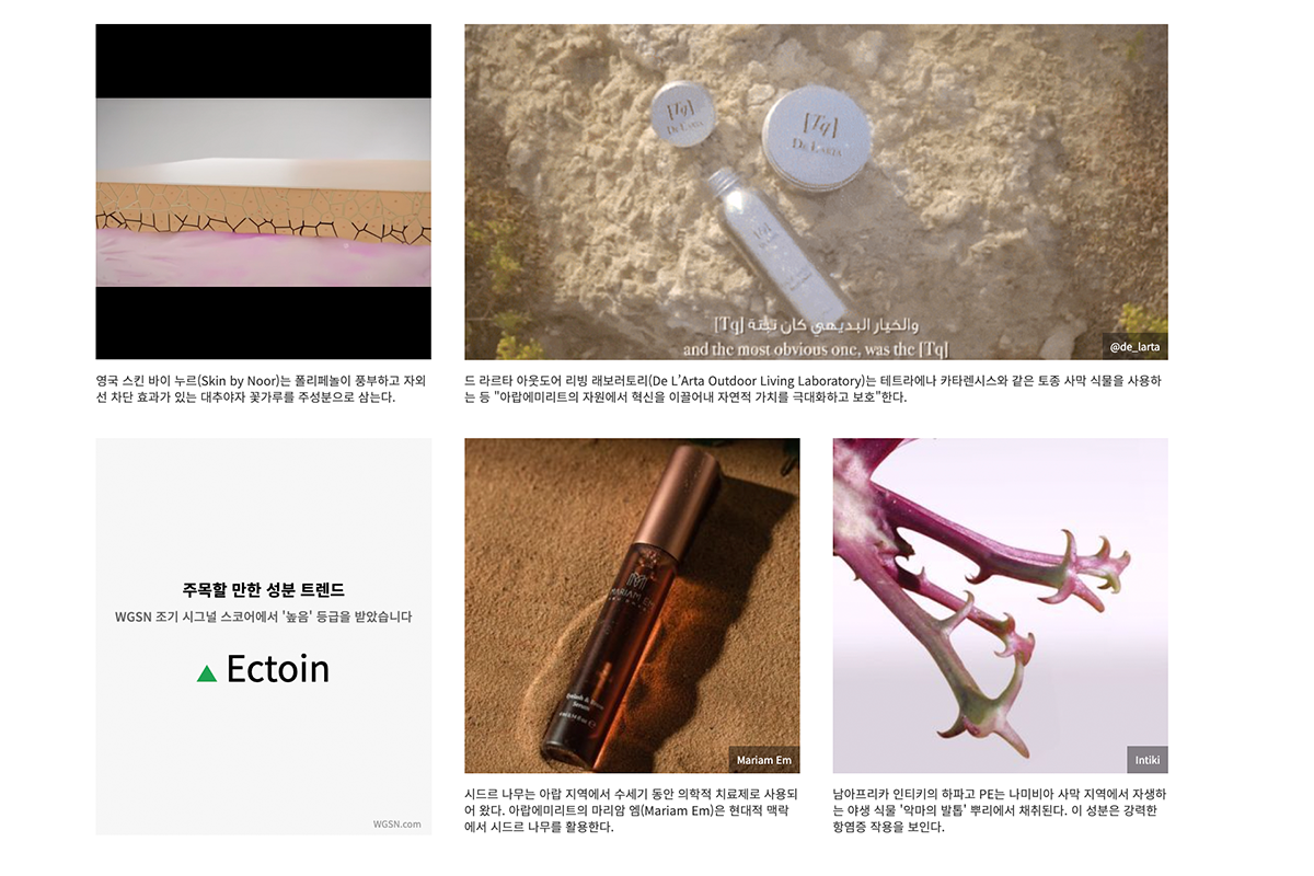 WGSN Beauty Ingredient Forecast 2027 Ingredient 2: Desert
