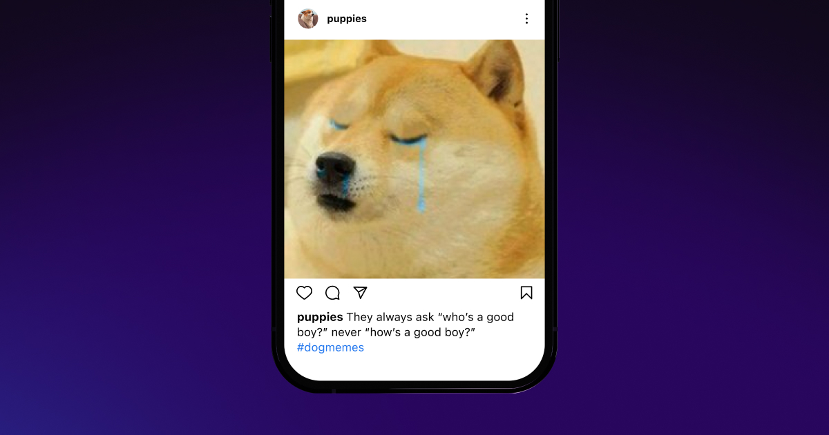 Um iPhone exibindo um meme. 