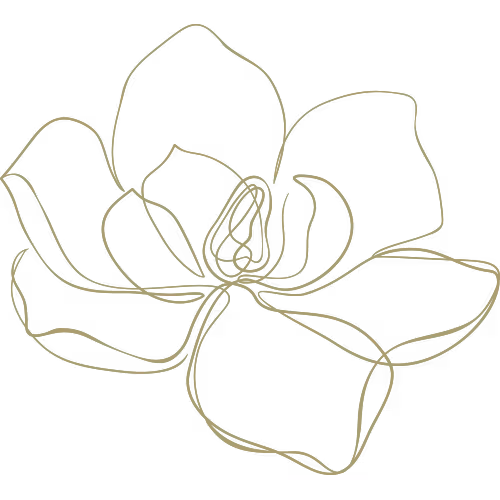 Lineart of a flower opening