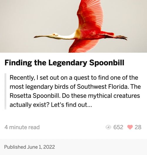 photoshoot-schedule-template-focusfox