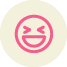 icon humour