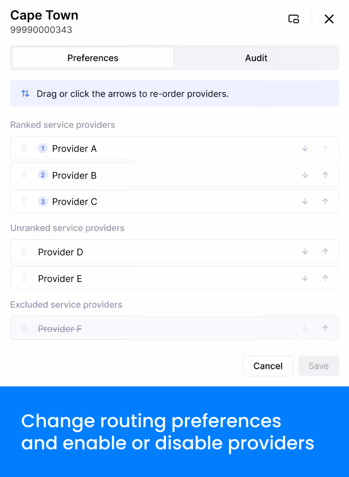 User interface showing ranked, unranked, and excluded service providers for Cape Town routing preferences.
