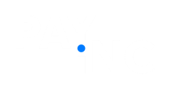 PayInc logo