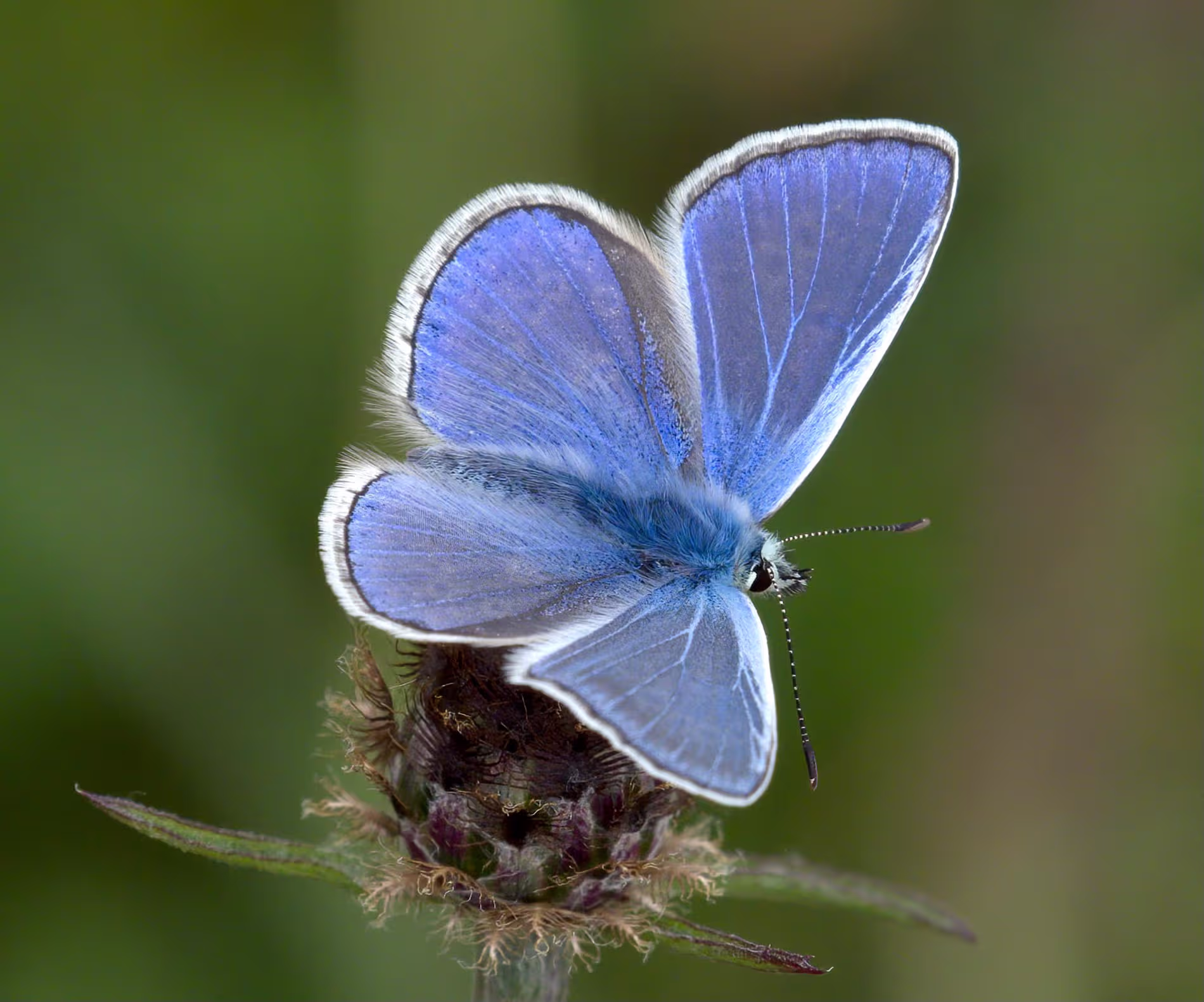Richmond and Twickenham Photographic Society