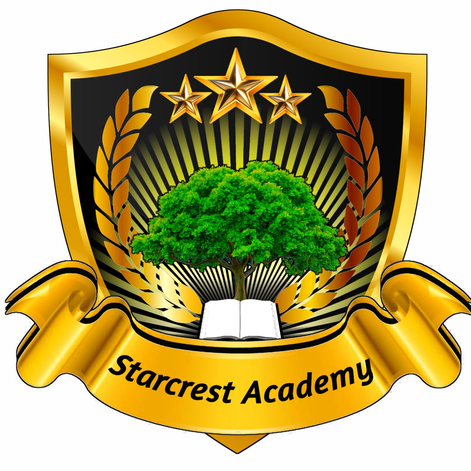 Starcrest Academy