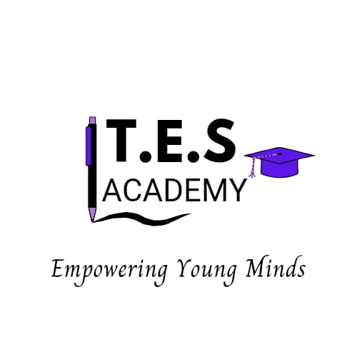 T.E.S. Academy