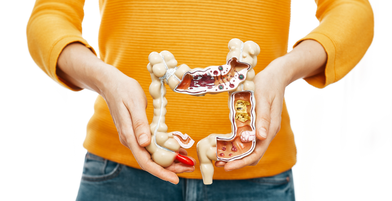 gut health