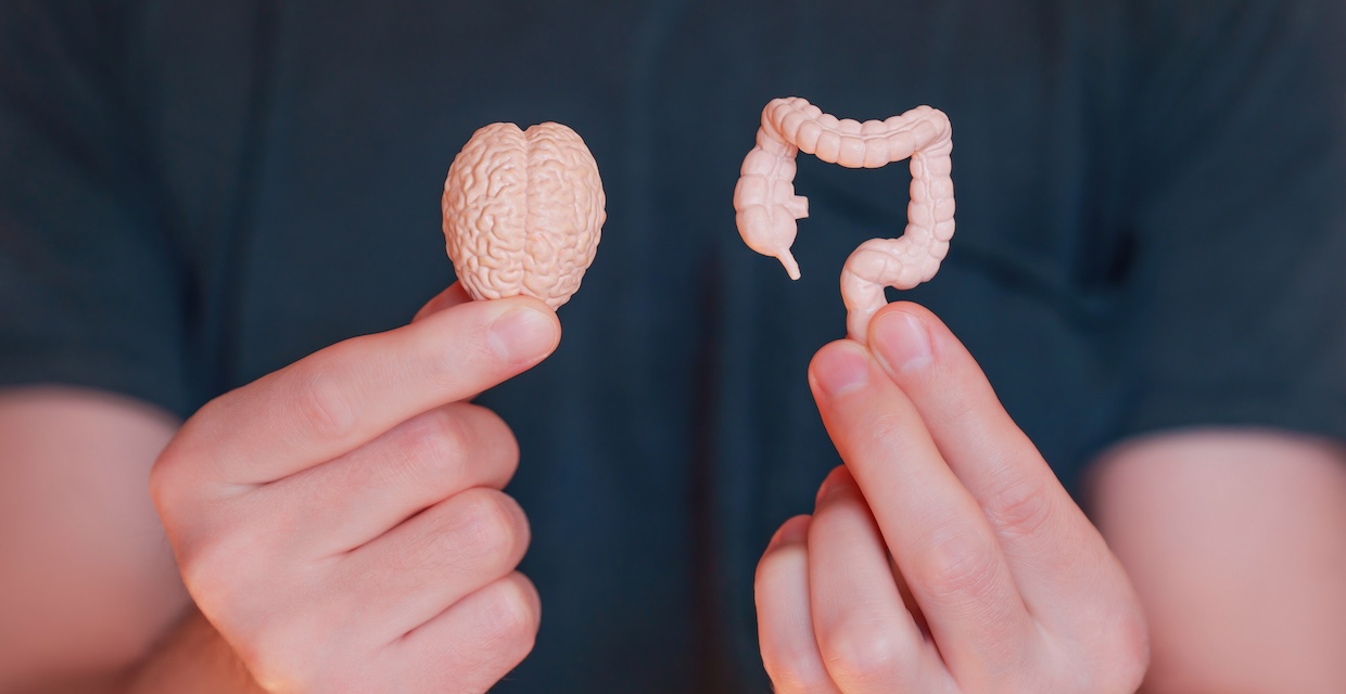 gut health