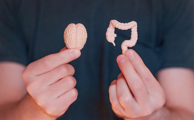 Gut Health