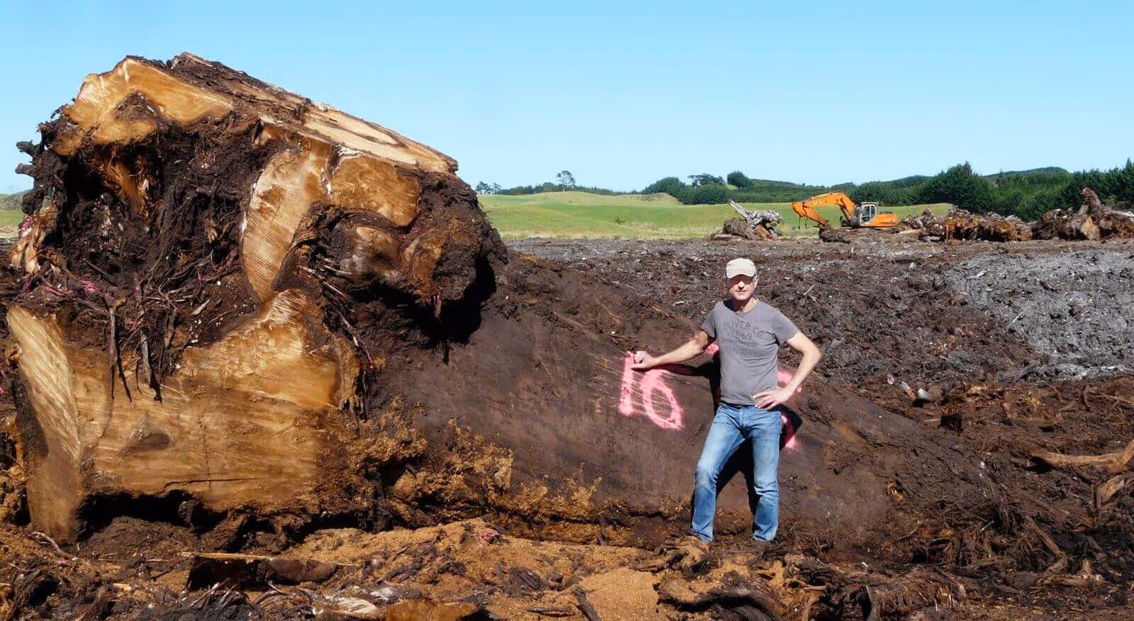 Master carpenter and artist Michael Beaupoil with a special Kauri root trunk for the production of unique tables and designer furniture