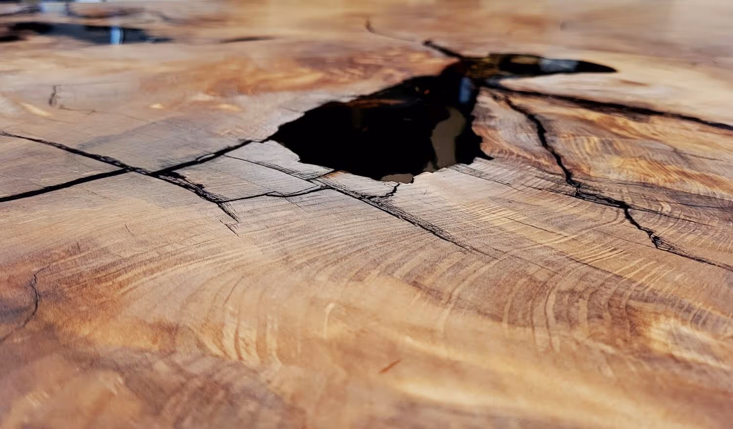 Tabletop of a designer table made of kauri burl wood with amber, bark, and high-quality epoxy resin, creating a unique dining table